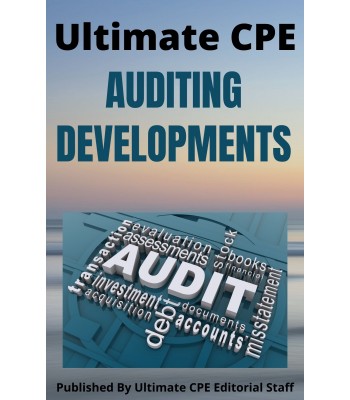 Auditing Developments 2024